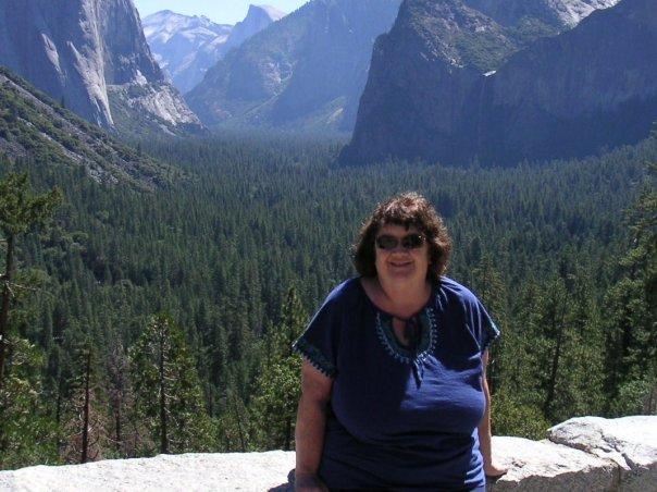 View of Yosemite Valley