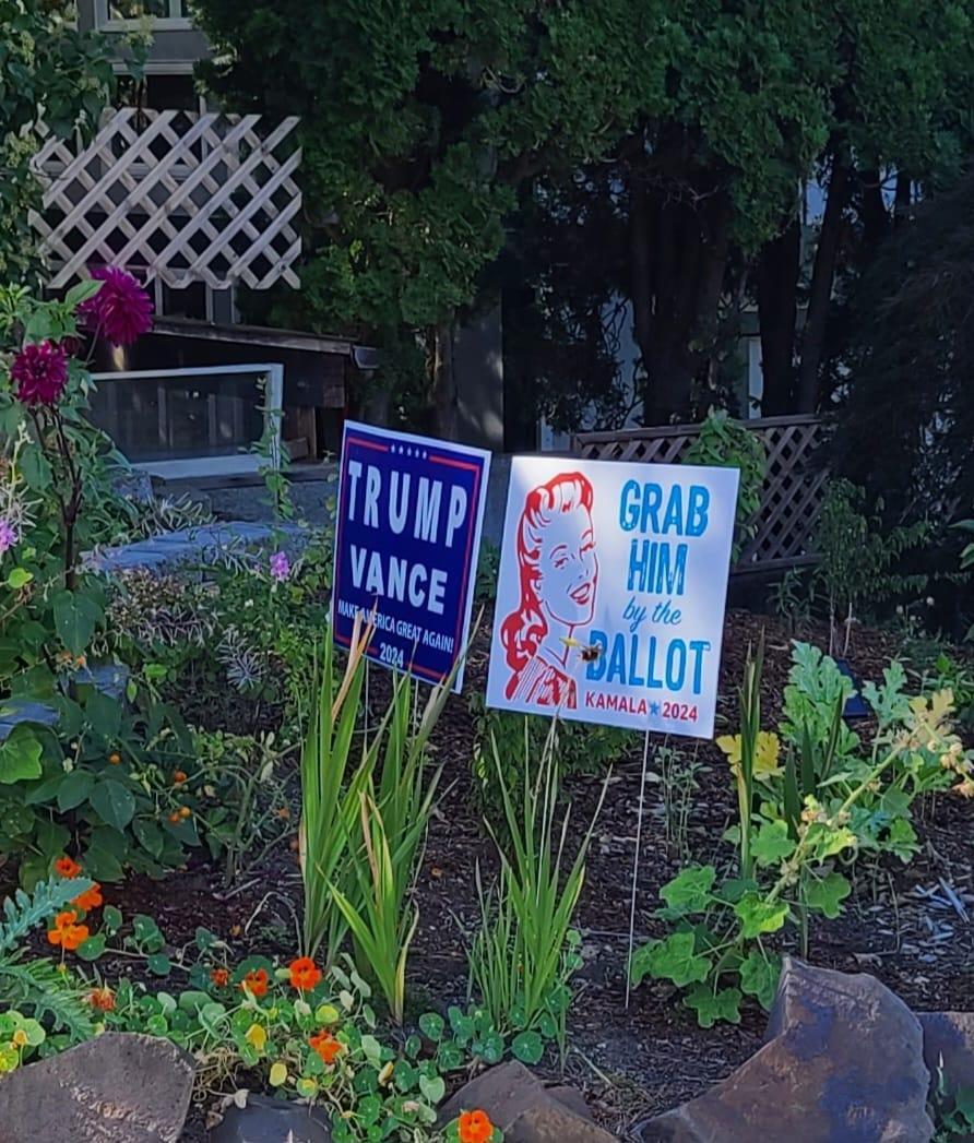 I'll bet there's some tension in this household.