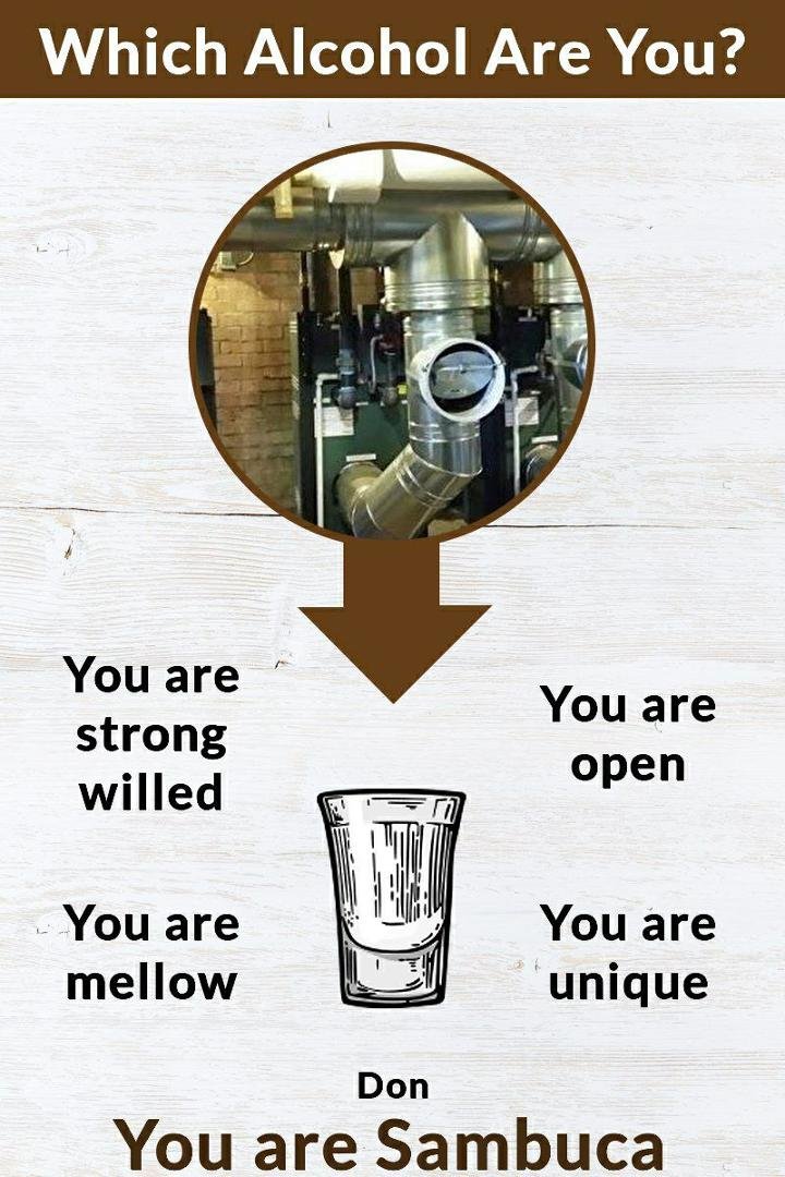 Which Alcohol Are You?