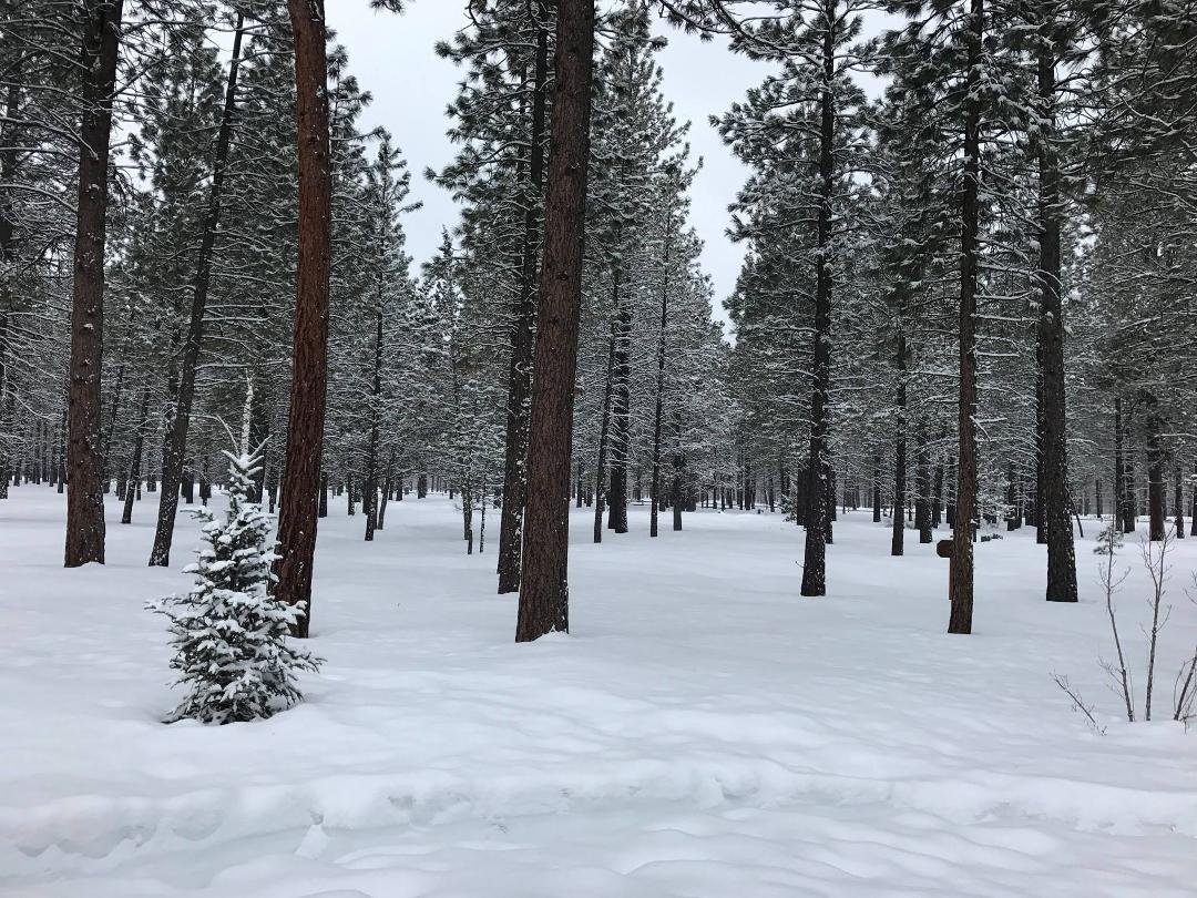 Let it snow, let it snow !