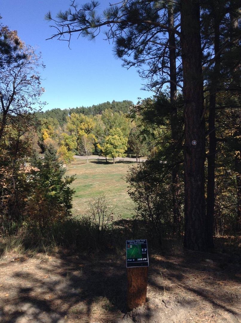 Hole #17 tee - fun elevated tee, wing that disc!