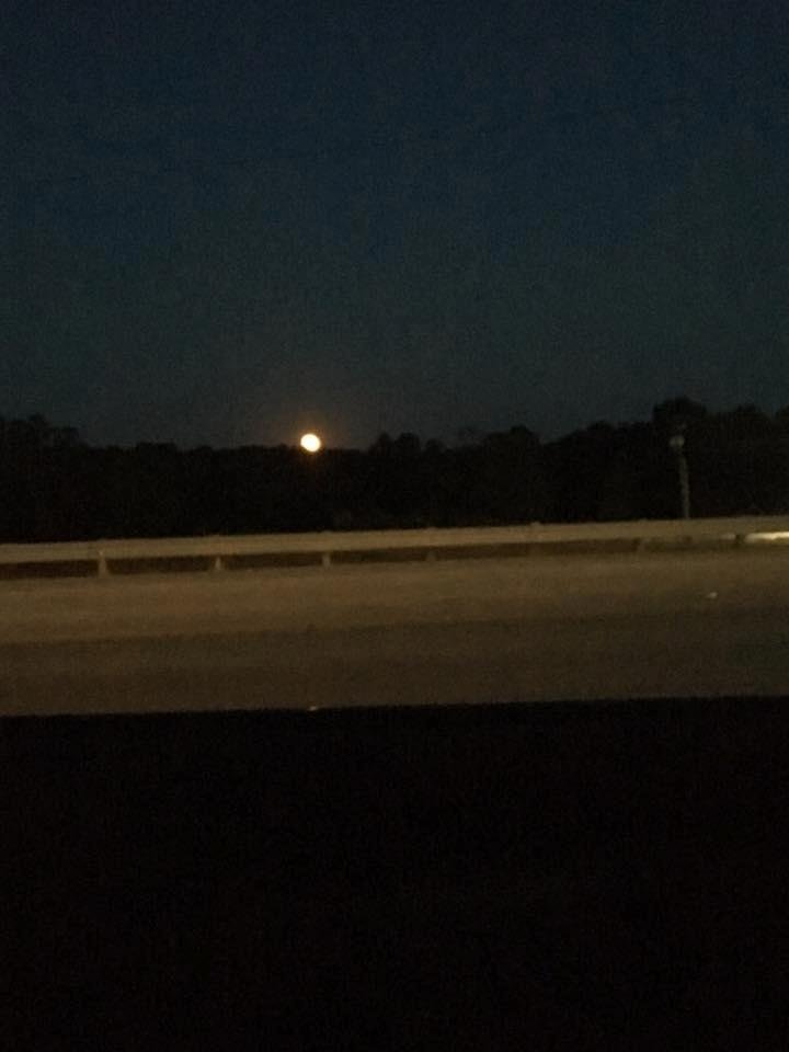 Hello Mr. Red Moon welcome to my work cubical