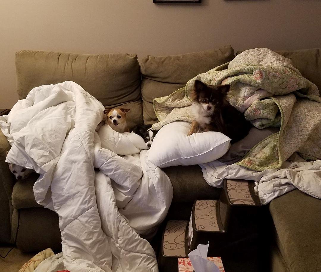 Peek-a-boo. Can you see all 4 of us?