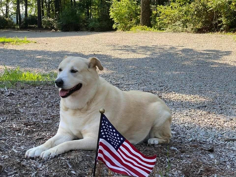 Chloe being patriotic