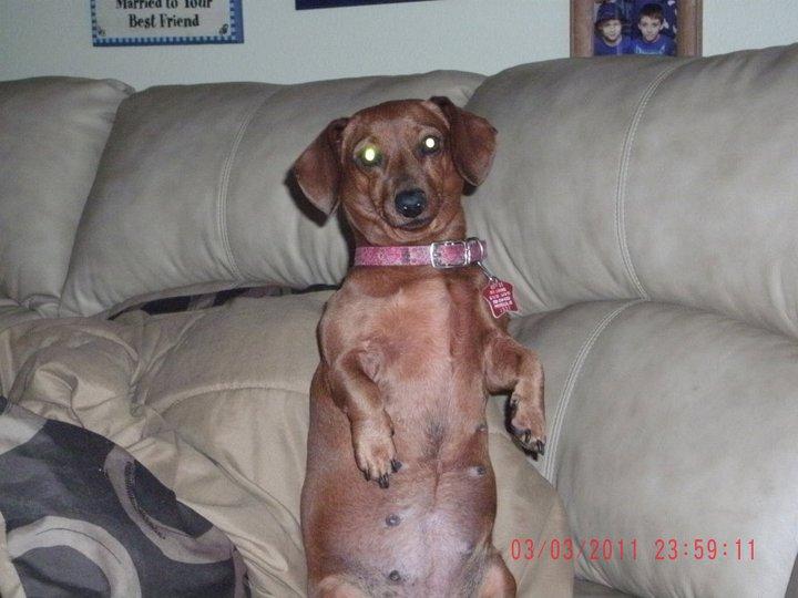 Kristi Levell's album, March 22, 2011