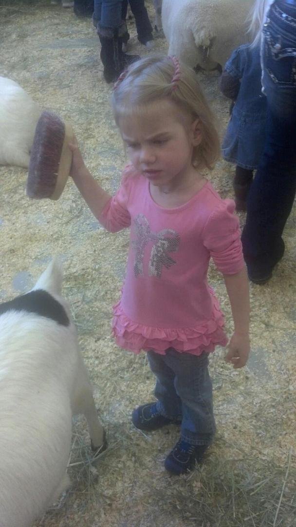 Getting ready for roundup.