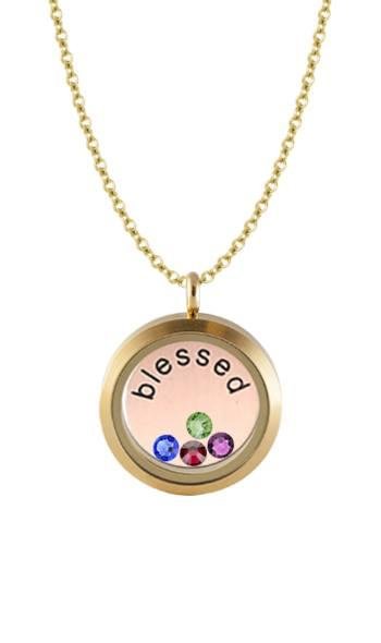 This locket represents how blessed I feel to have 2 daughters, Erica Gera and Christi Bailey and 2 stepdaughters Tammy Melanson Crowley and SherryandKevin Sinclair. Their birthstones are Januaryand September for my stepdaug