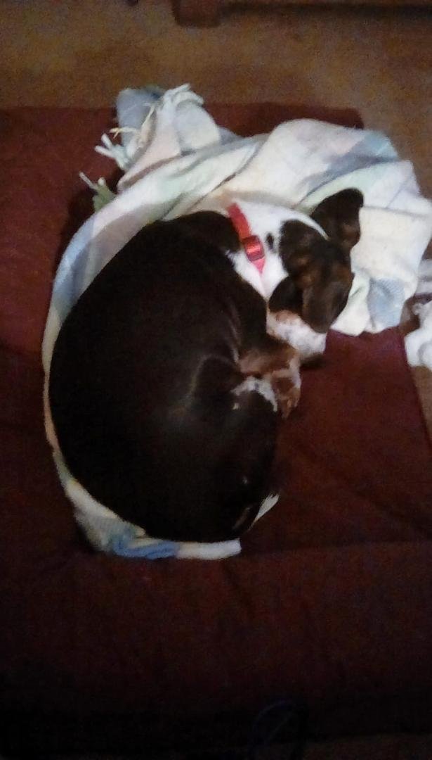 Joyce Mullis' album, Timeline Photos