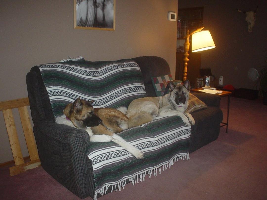 Cathy Sobczyk's album, Timeline Photos