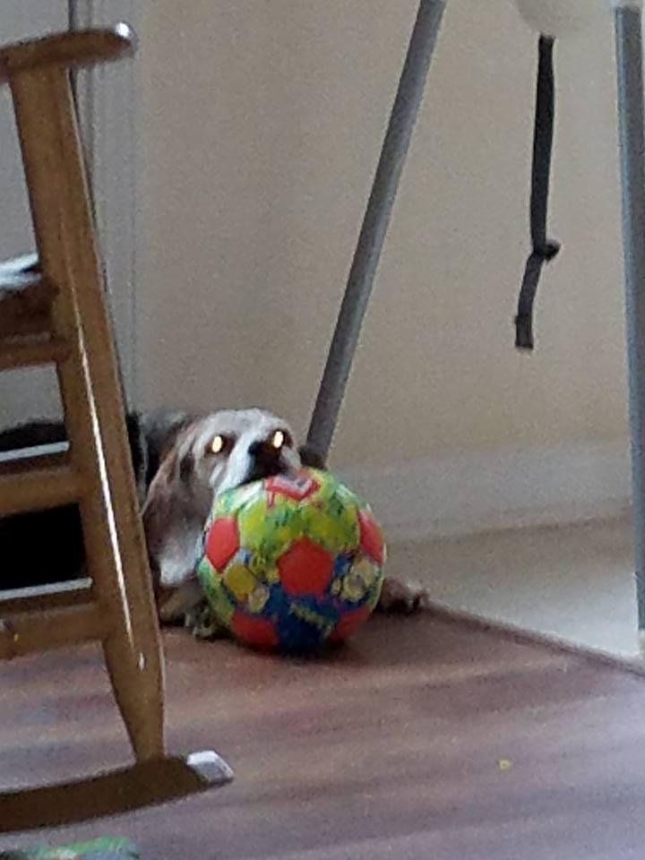 Chloe Schultz, thinking, "go ahead, take Ryker's soccer ball away from me, I triple dog dare you!"