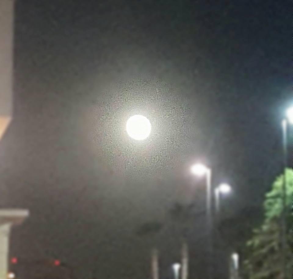 The Harvest Moon even outshines streetlights.
Just gorgeous!