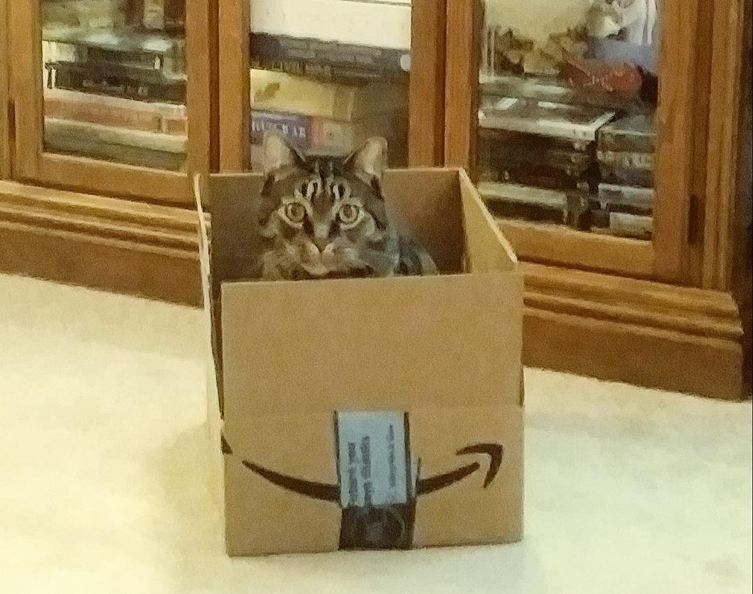 Hey Yinz! I got my new Amazon Box today 😻😻😻