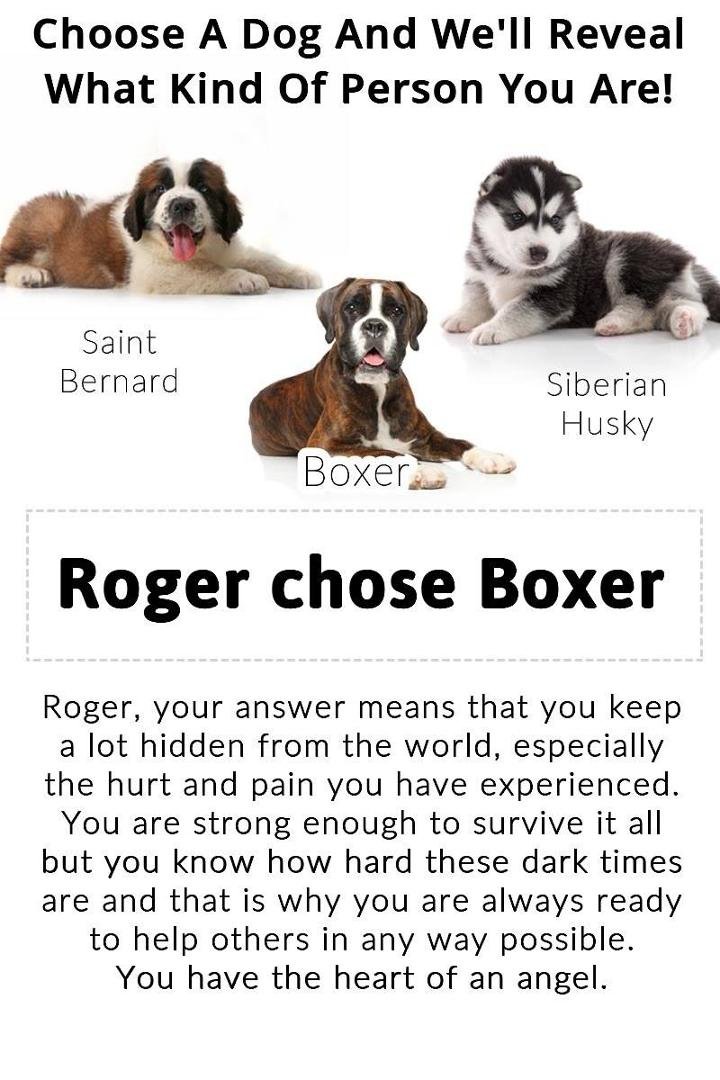 Roger Nelson's album, Mobile Uploads