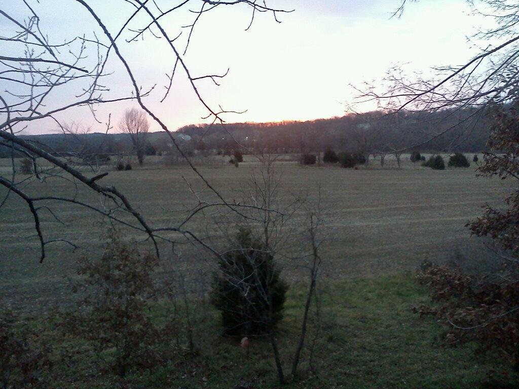 Sunrise deerhunting on Turkey day!!!
