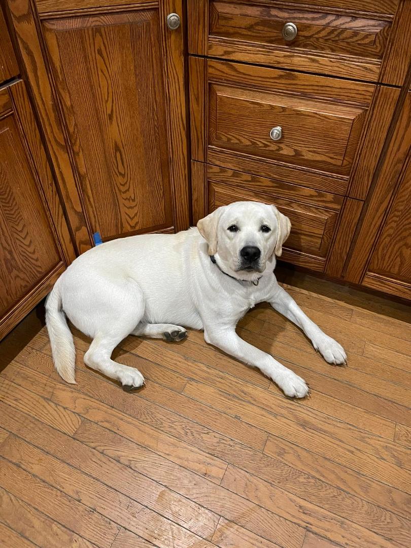 helping me make supper