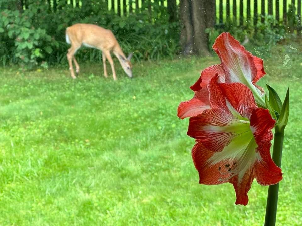 Byron Bonebreak's album, Timeline photos