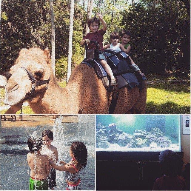 Michael Morrison's album, Timeline Photos
