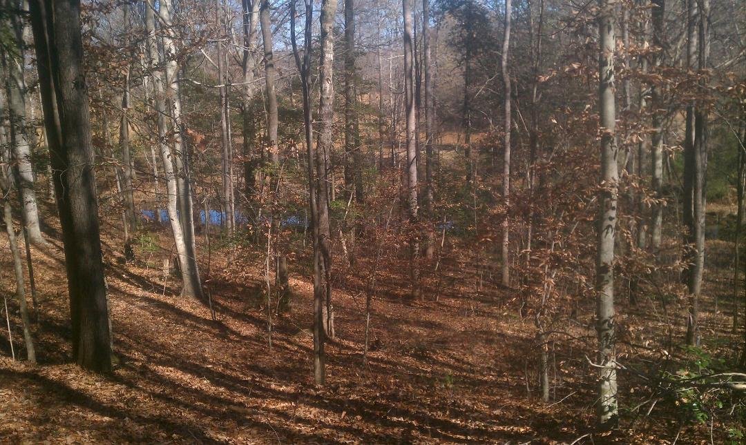 This is the view of our soon to be built new house in the Black Forest.