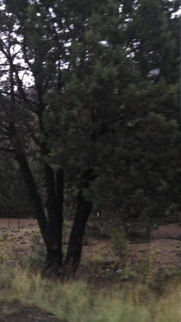Road between Prescott valley and jerome