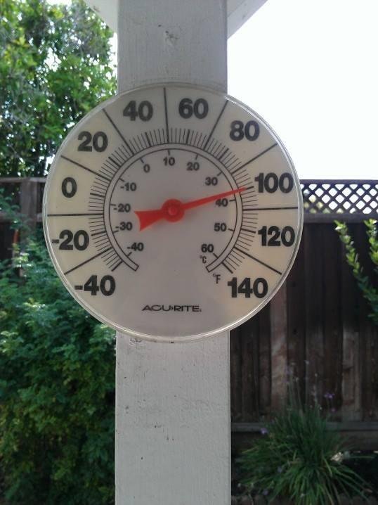 In our backyard it's HOTT!