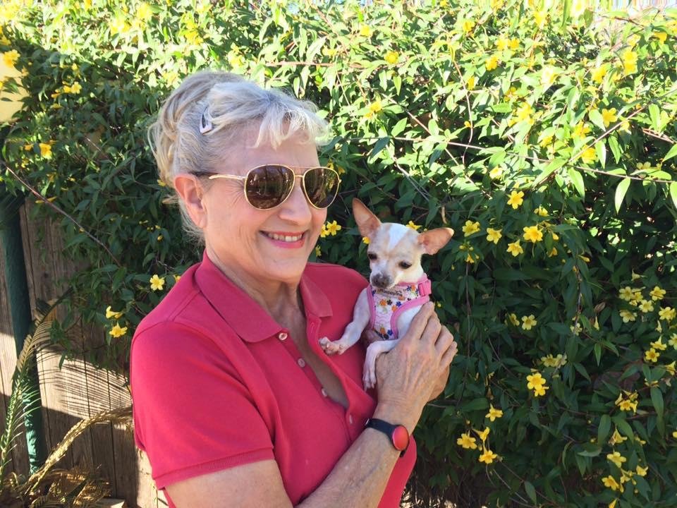 Lola is enjoying the Carolina Jasmine blooming in our backyard.