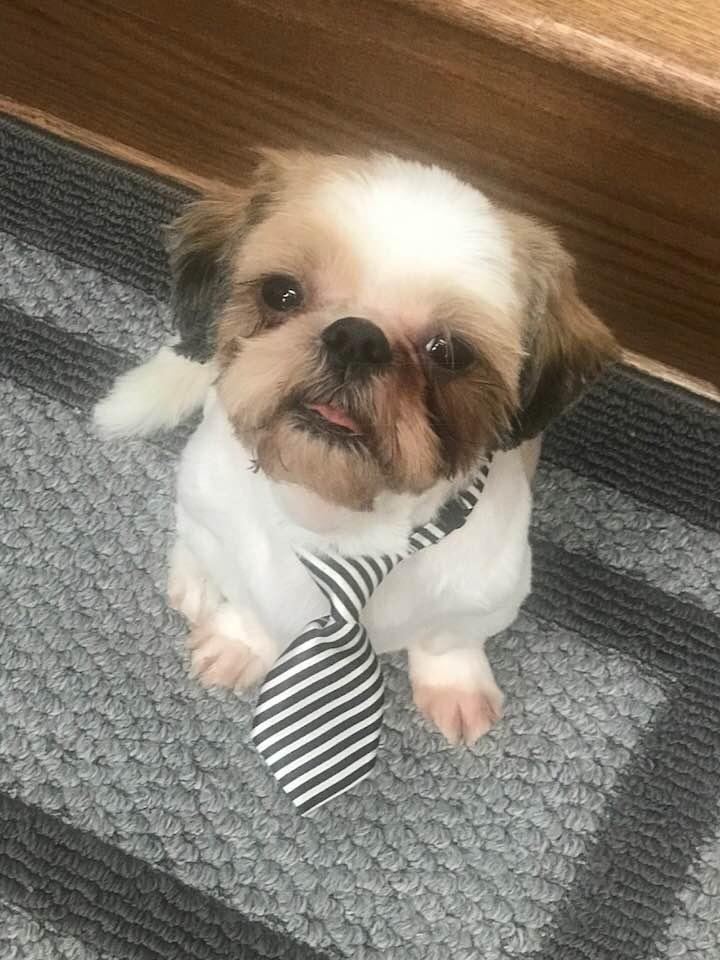 Edgar’s corporate photo