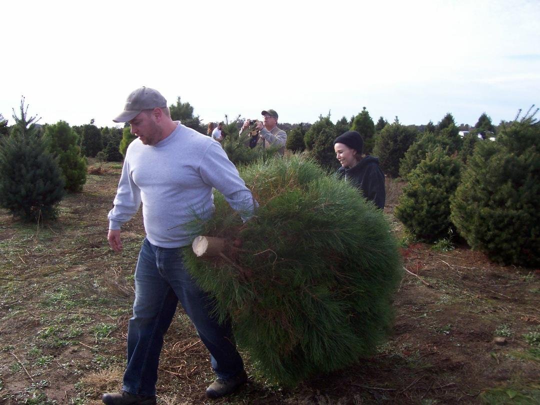 Brandon and Rachel's tree