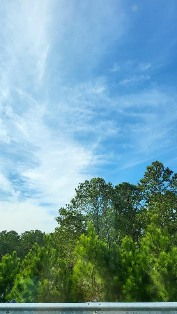 72 and sunny in February...I love the south!