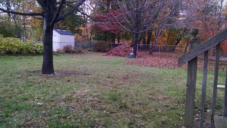 Been raking since 10:30am and I'm still not done. Where's a man when you need one? lol