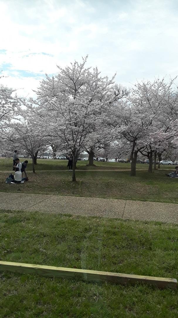 Sue Seals' album, Timeline Photos