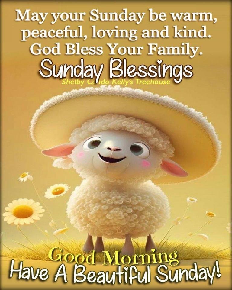 Deborah Damelio's album, Timeline photos