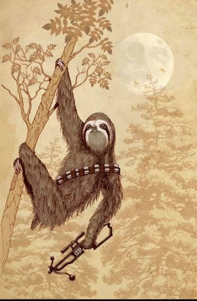 Star Wars Day