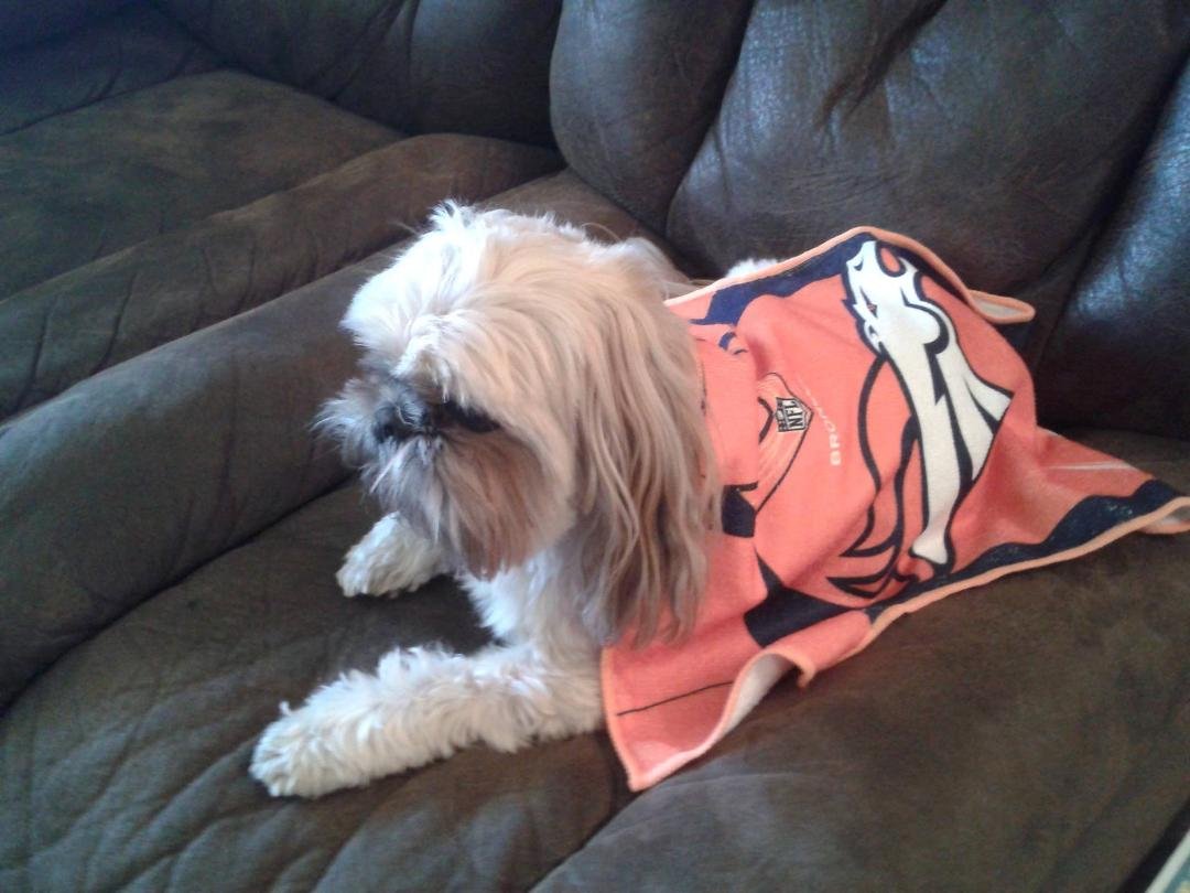 Go Broncos!