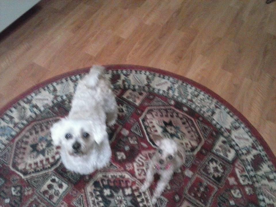 Babysitting