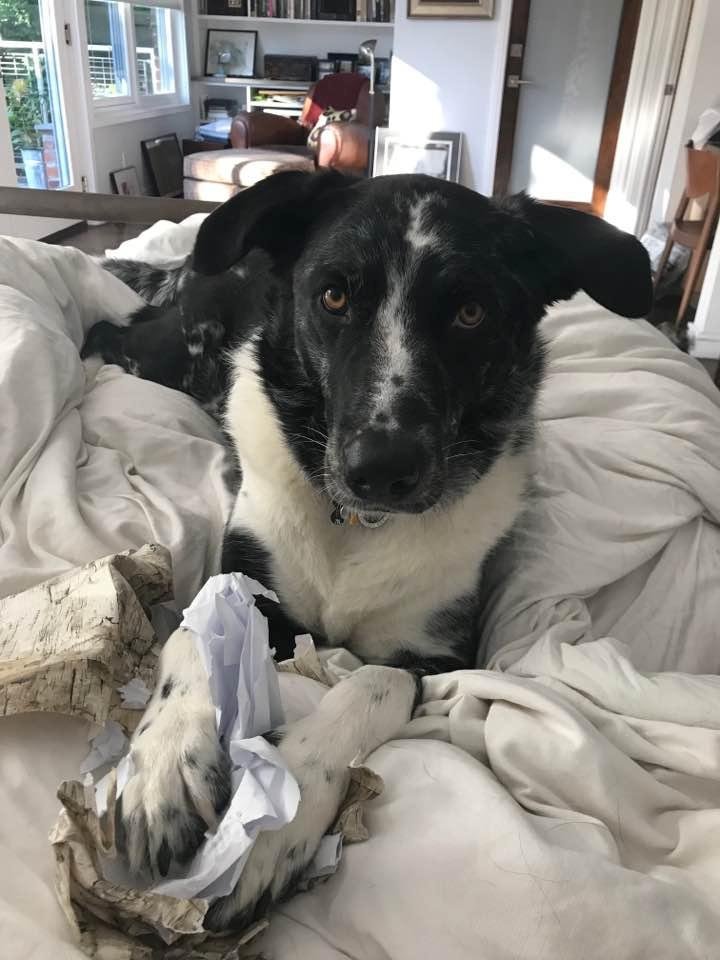 Mike helped me open Father’s Day gifts!!
