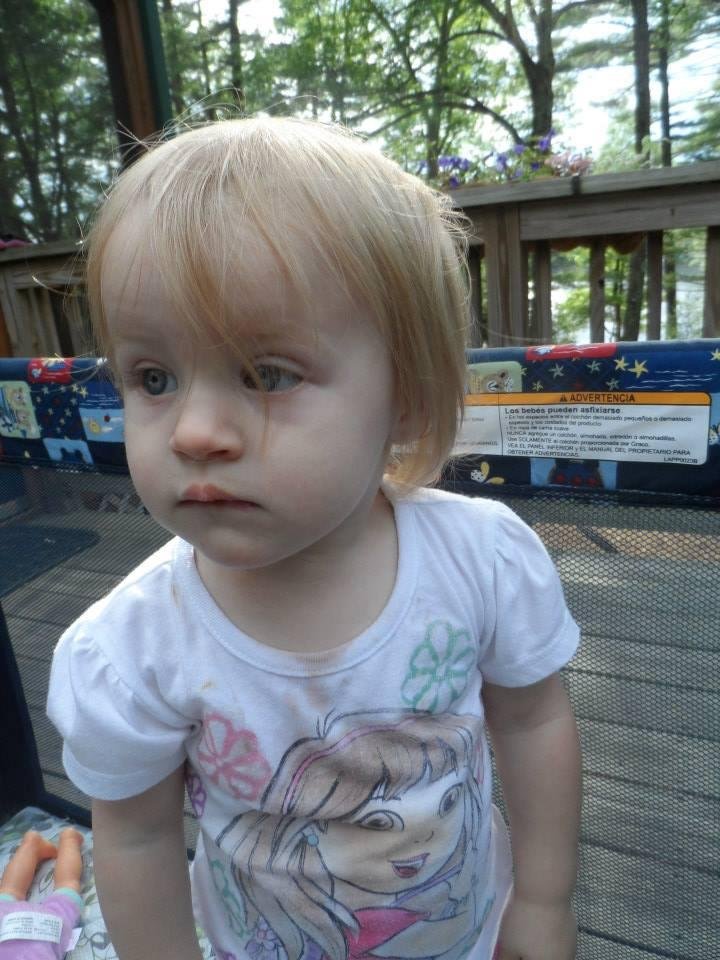 Victoria Wiley's album, Luna's 2015 Summer Vacation