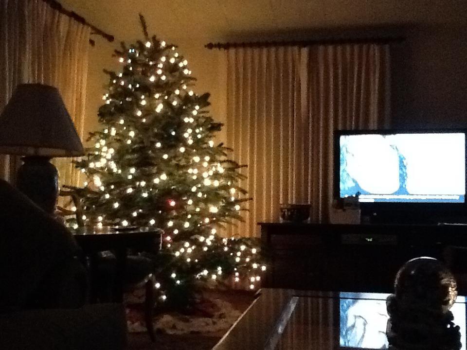 Christmas at our new address
