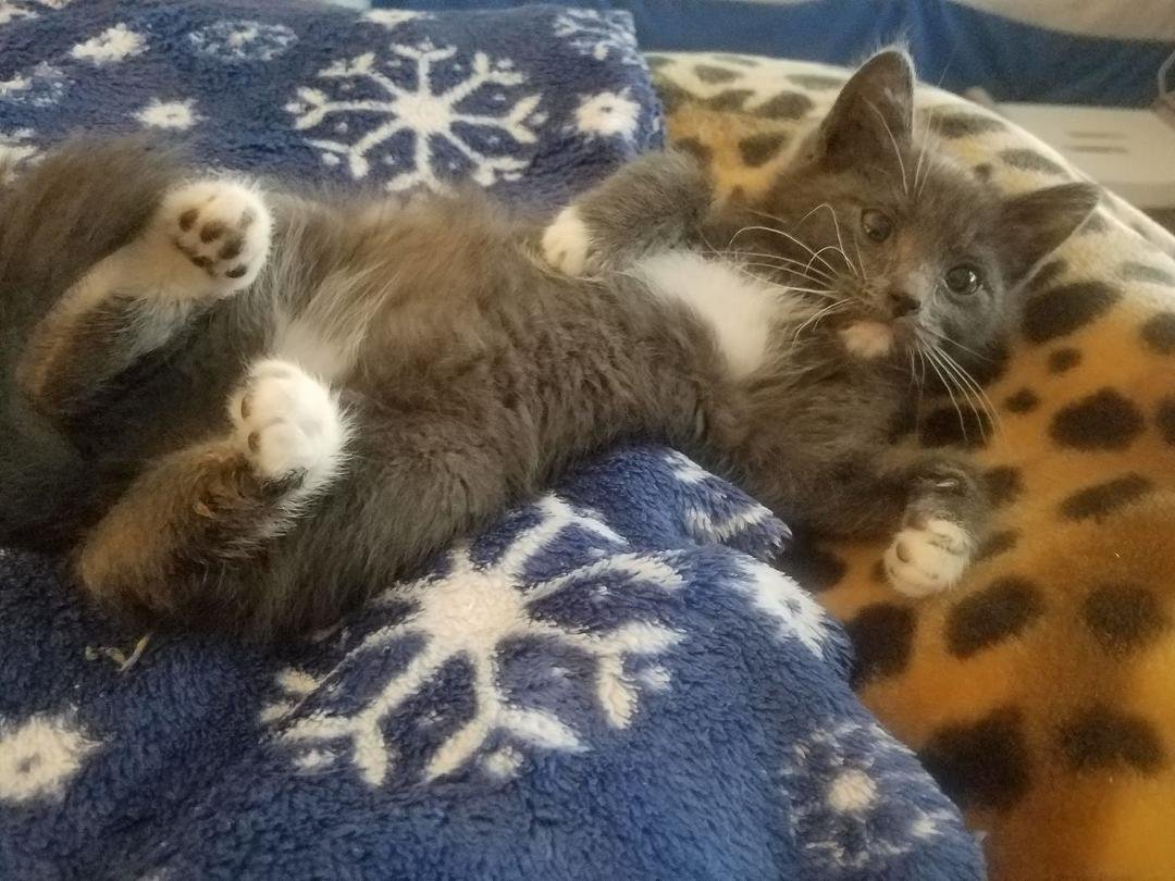 My early morning greeting