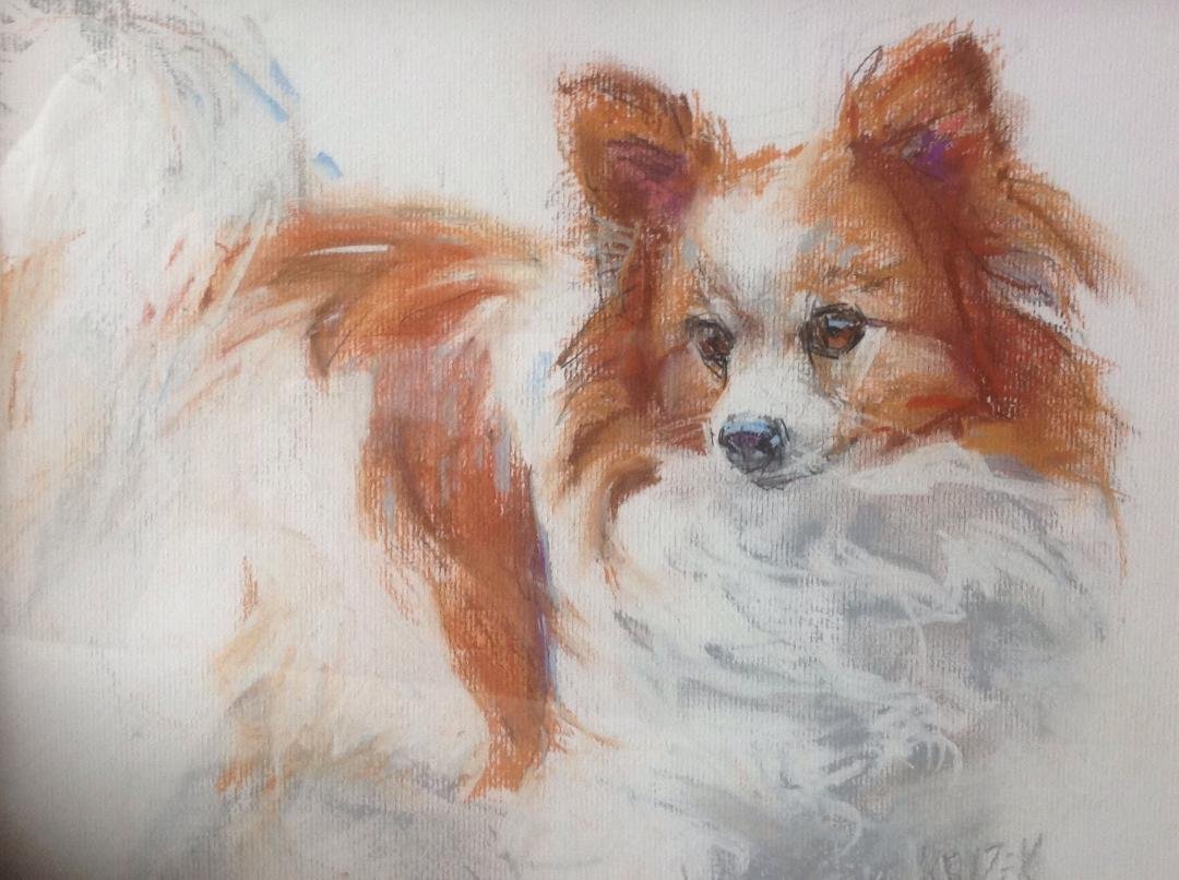 Thanks to Lou Klecka and the Coopers for arranging to have Lou's niece, Donna Krizek, make this drawing of my sweet little Papillon, Coco who is currently lying on the back of my couch barking at all the action in the
neig