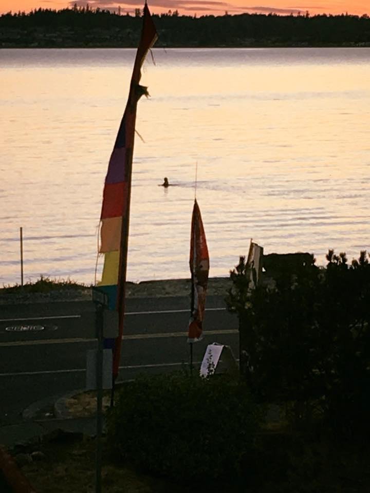 Another beautiful sunset at Birch Bay.