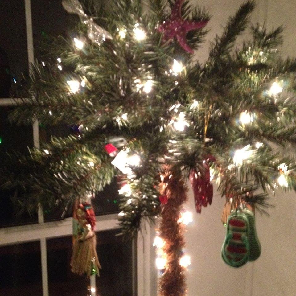 Christmas tree at the Beach.70 degree's today.