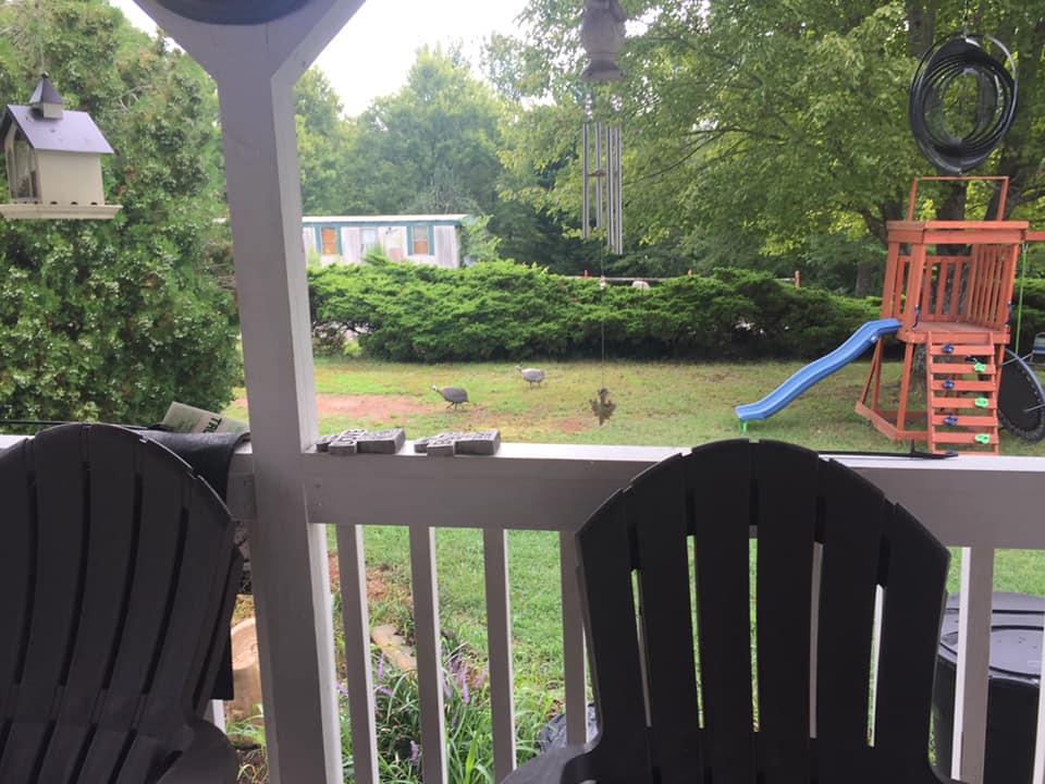 What are these two beautiful creations?