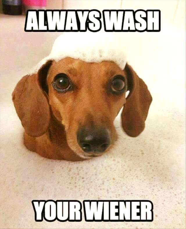 Margo Kratenstein's album, Timeline Photos