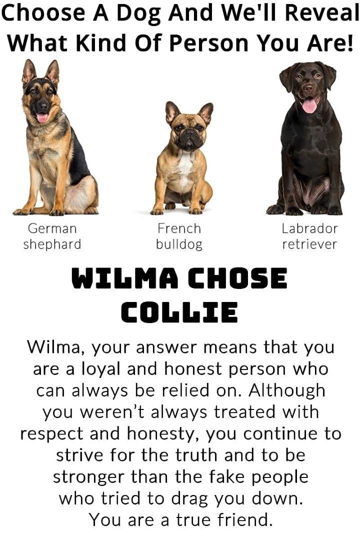 I am a Collie lover!