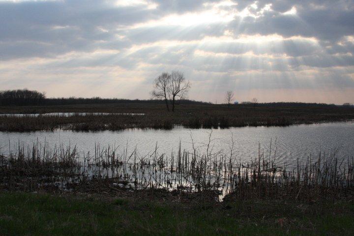 Dean Santefort's album, Spring is here