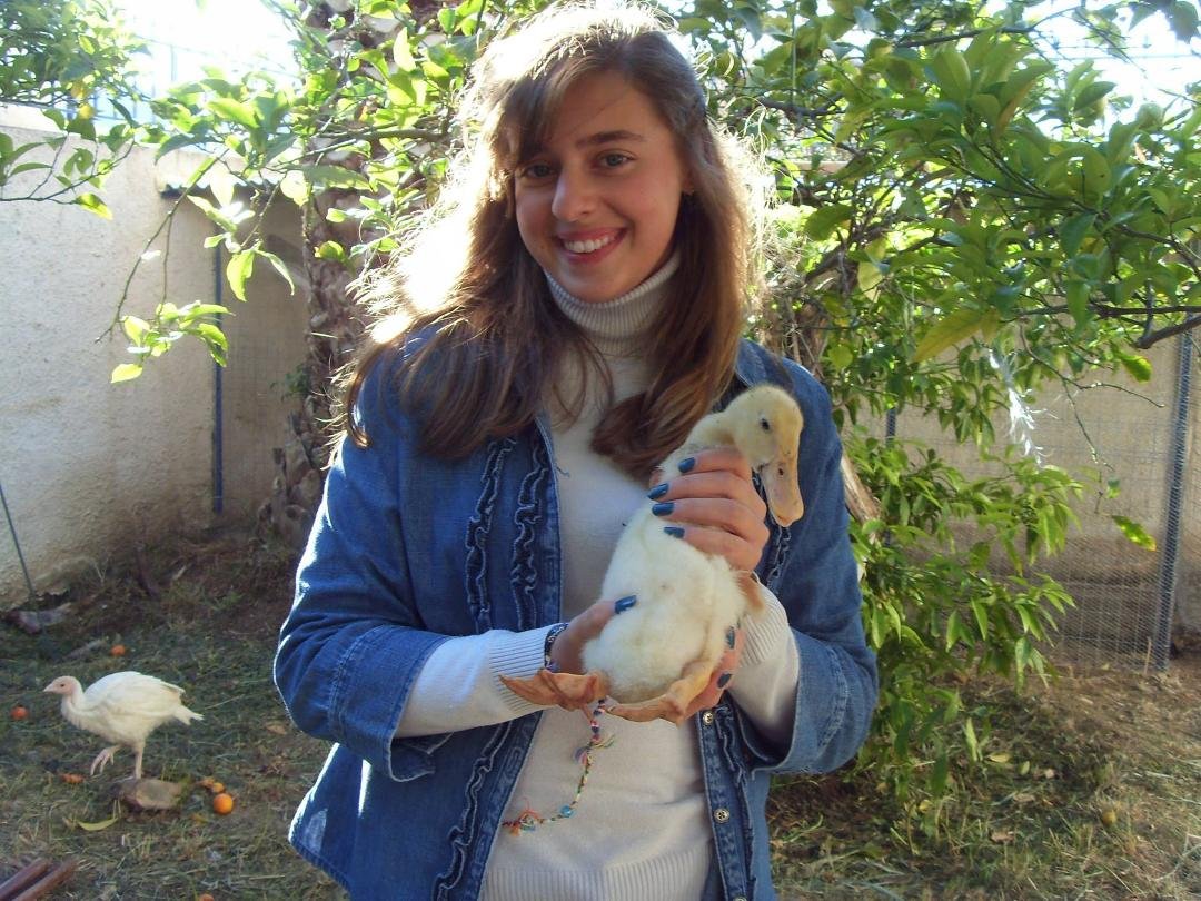 Pam with a baby duck in our backyard. Check out the new cage in the back!!