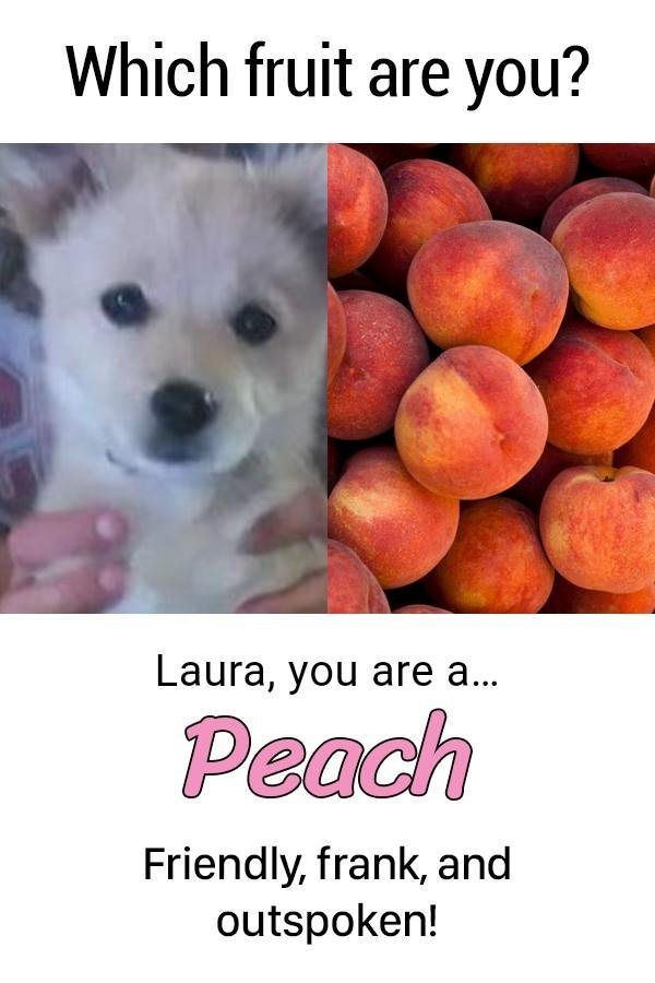 Laura Smith's album, Timeline Photos
