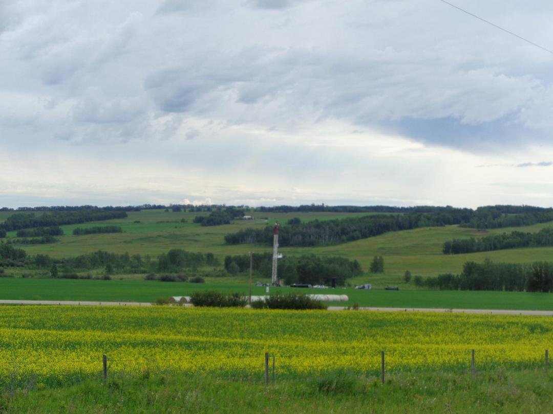 On my morning commute NW of Olds.