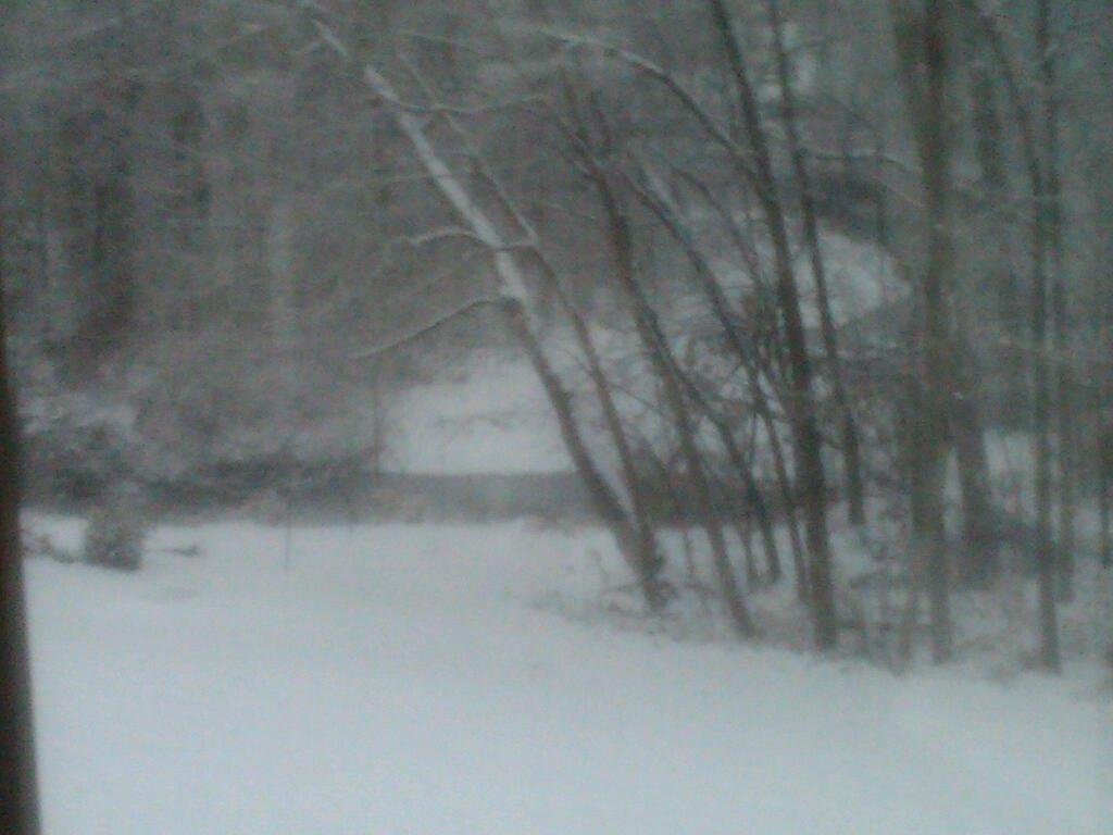 Out the back door