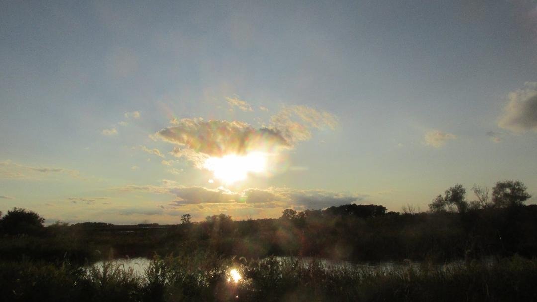 David Evans' album, Timeline Photos